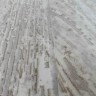 Ковер Trend 250x400 см