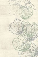 Ковер Modema 200x300 см