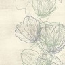 Ковер Modema 200x300 см