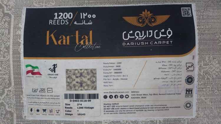 Ковер Dariush 200x400 см